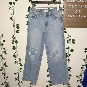 Pacsun Casey Low Rise Baggy Ripped Distressed Jeans